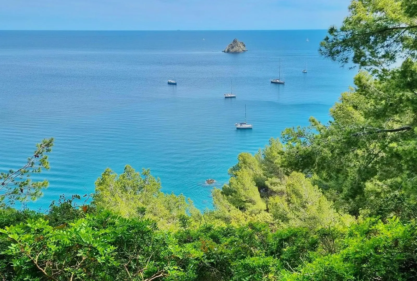 Apartment T2 43M2, Plage A 250M Grand Jardin Prive Ensoleille Saint-Mandrier-sur-Mer